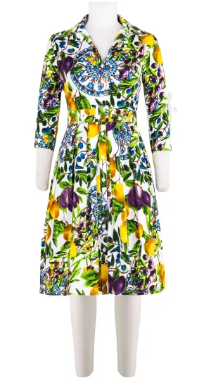 Audrey Dress #1 Shirt Collar 3/4 Sleeve Cotton Stretch (Tuscan Olive Lemon Small)