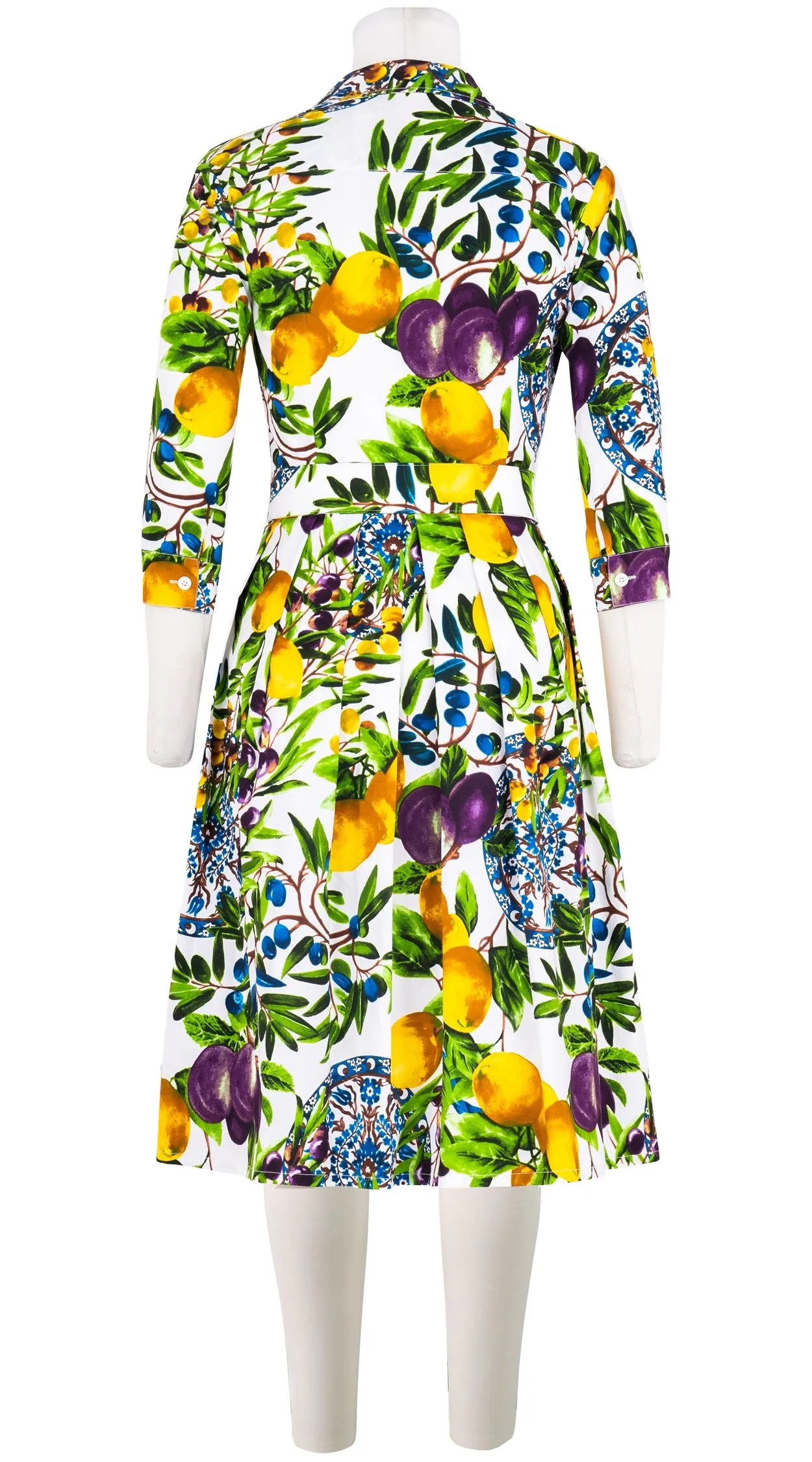 Audrey Dress #1 Shirt Collar 3/4 Sleeve Cotton Stretch (Tuscan Olive Lemon Small)