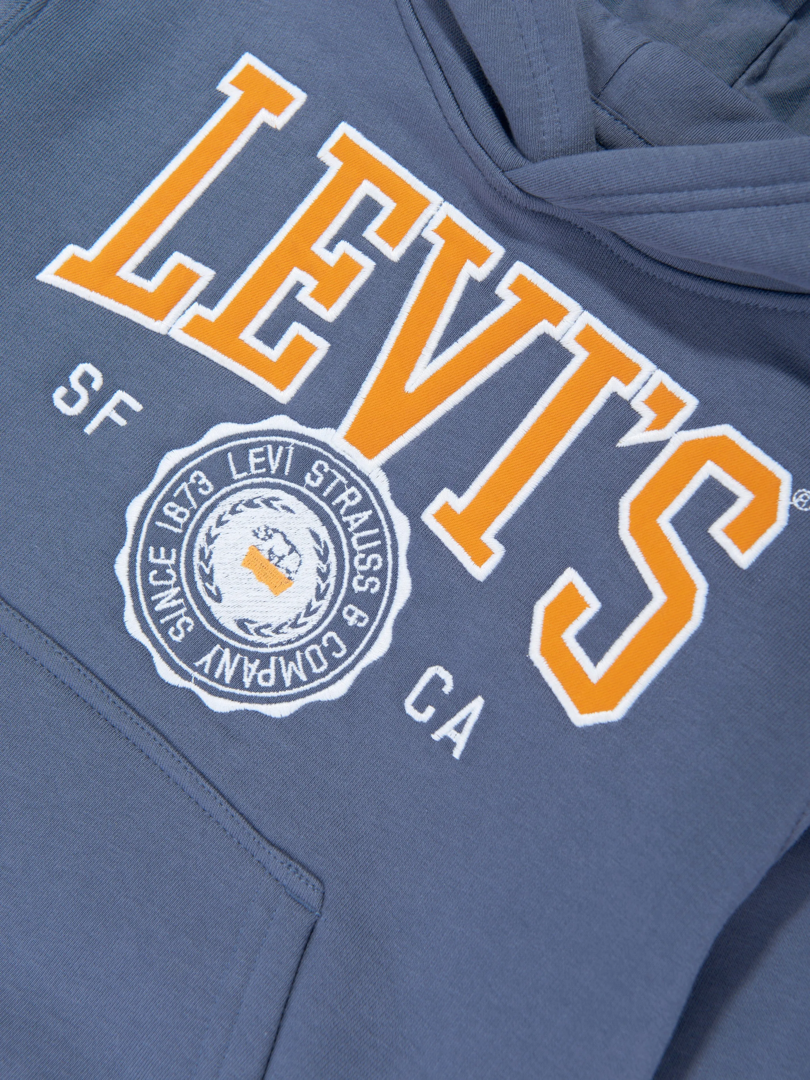 Boys Sporty Hoodie in Blue