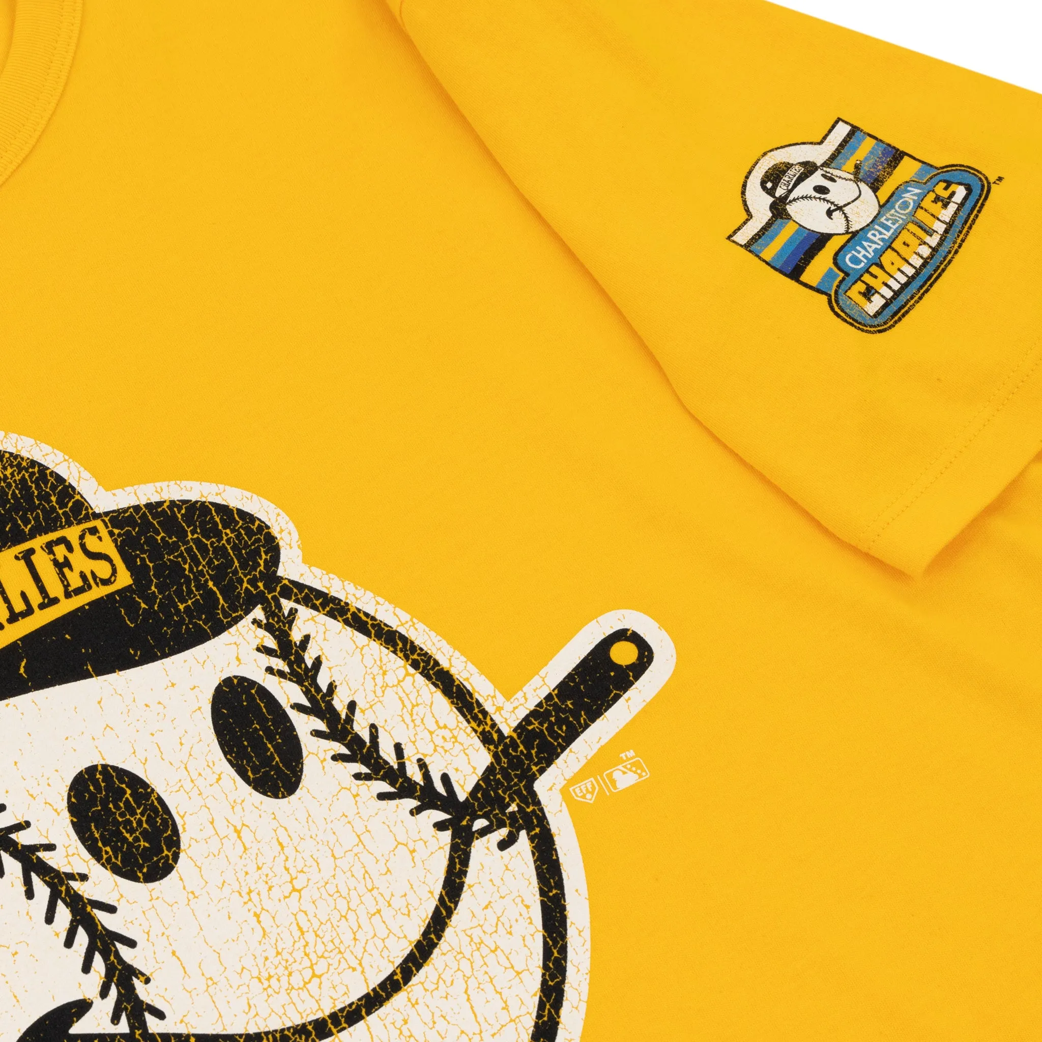 Charleston Charlies EFF MiLB Vintage T-Shirt