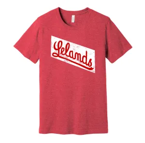 Chicago Leland Giants Distressed Logo Shirt - Defunct Negro Baseball Team - Celebrate Black Heritage and History - Hyper Than Hype