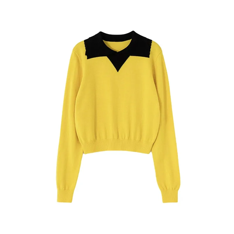 Contrast Collar Cropped Sweater