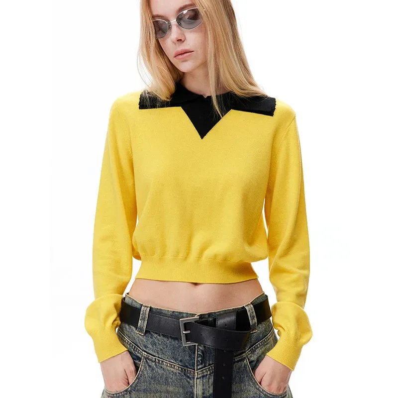 Contrast Collar Cropped Sweater