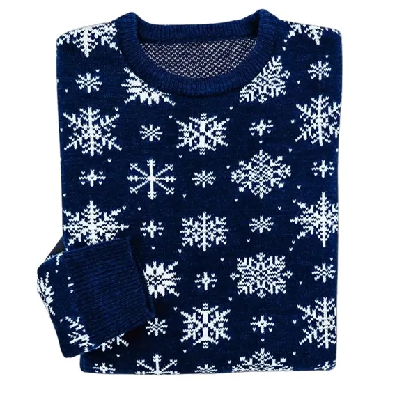 NEW The Winter Wonderland Sweater - SHIPS SAME DAY