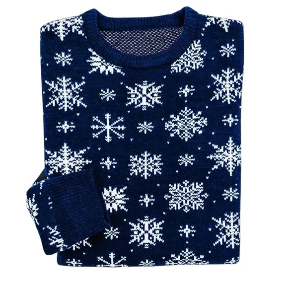 NEW The Winter Wonderland Sweater - SHIPS SAME DAY