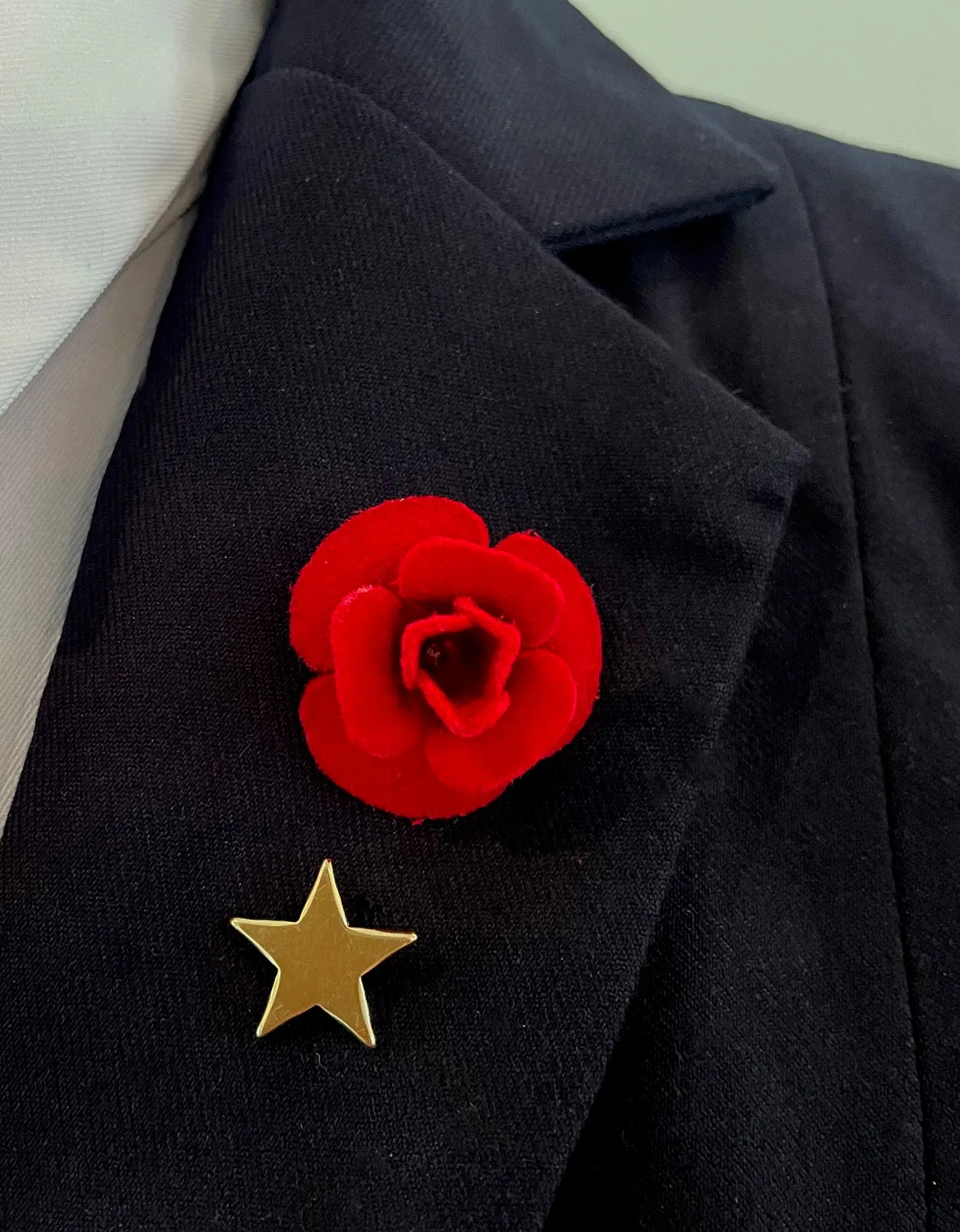 Variety of Lapel accent pins