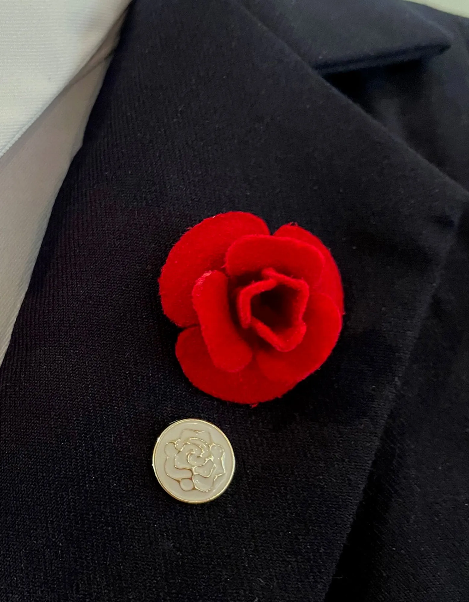 Variety of Lapel accent pins