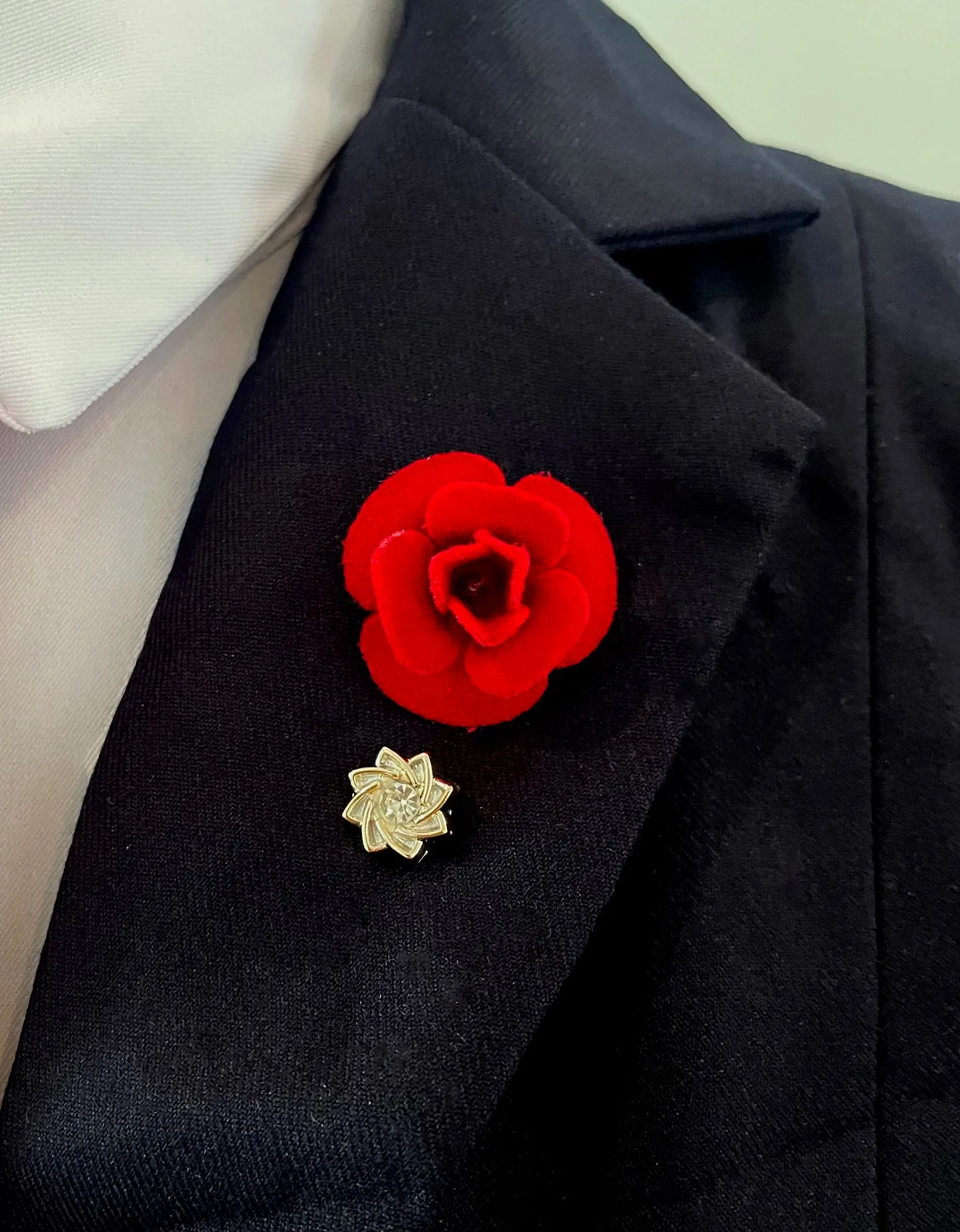 Variety of Lapel accent pins