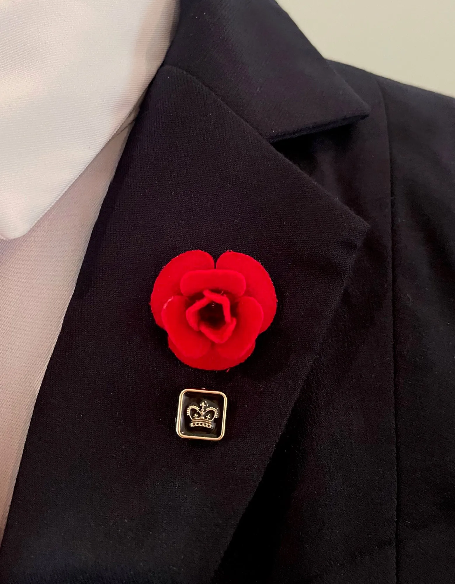Variety of Lapel accent pins