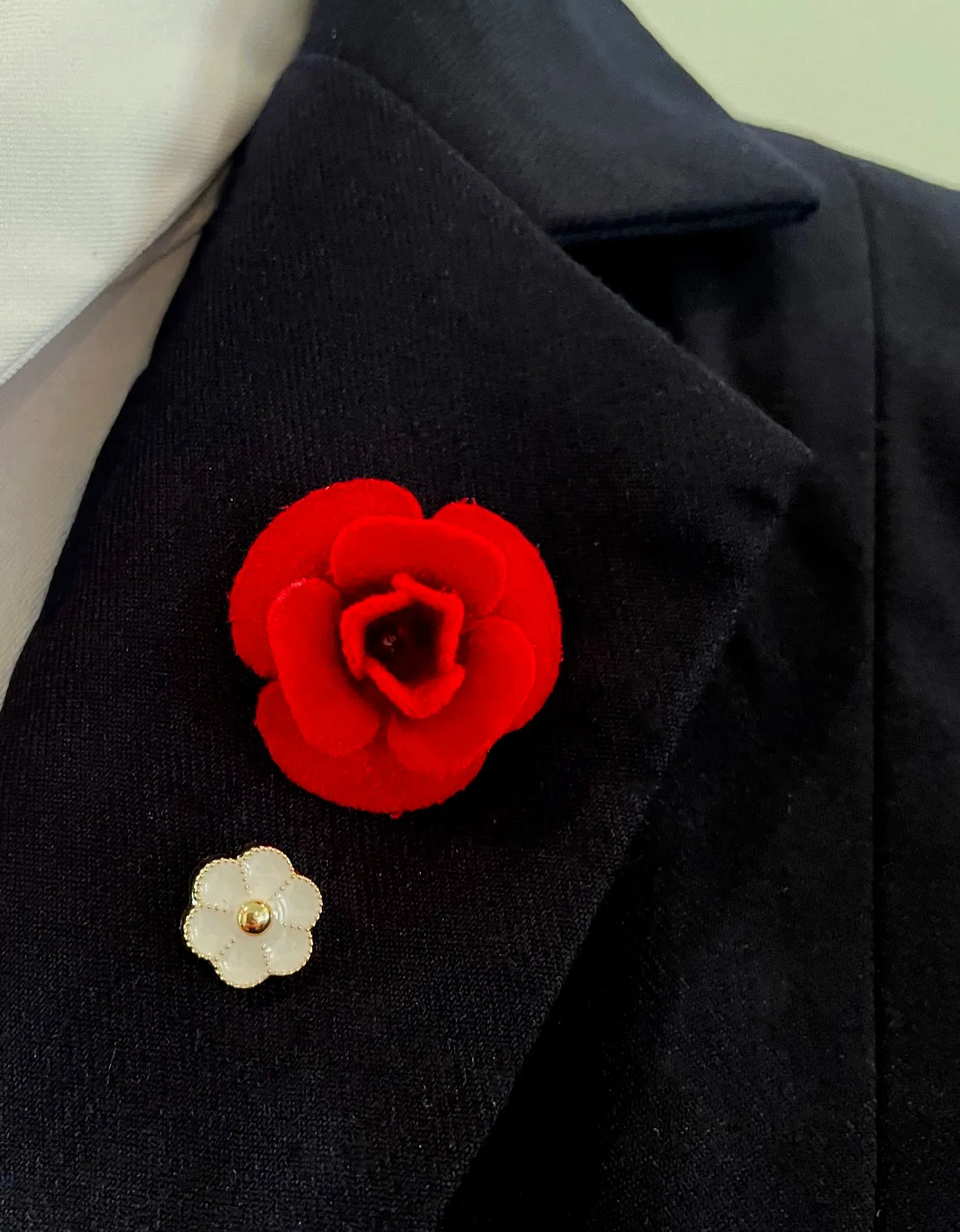Variety of Lapel accent pins