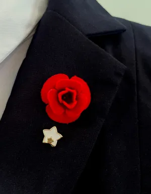 Variety of Lapel accent pins